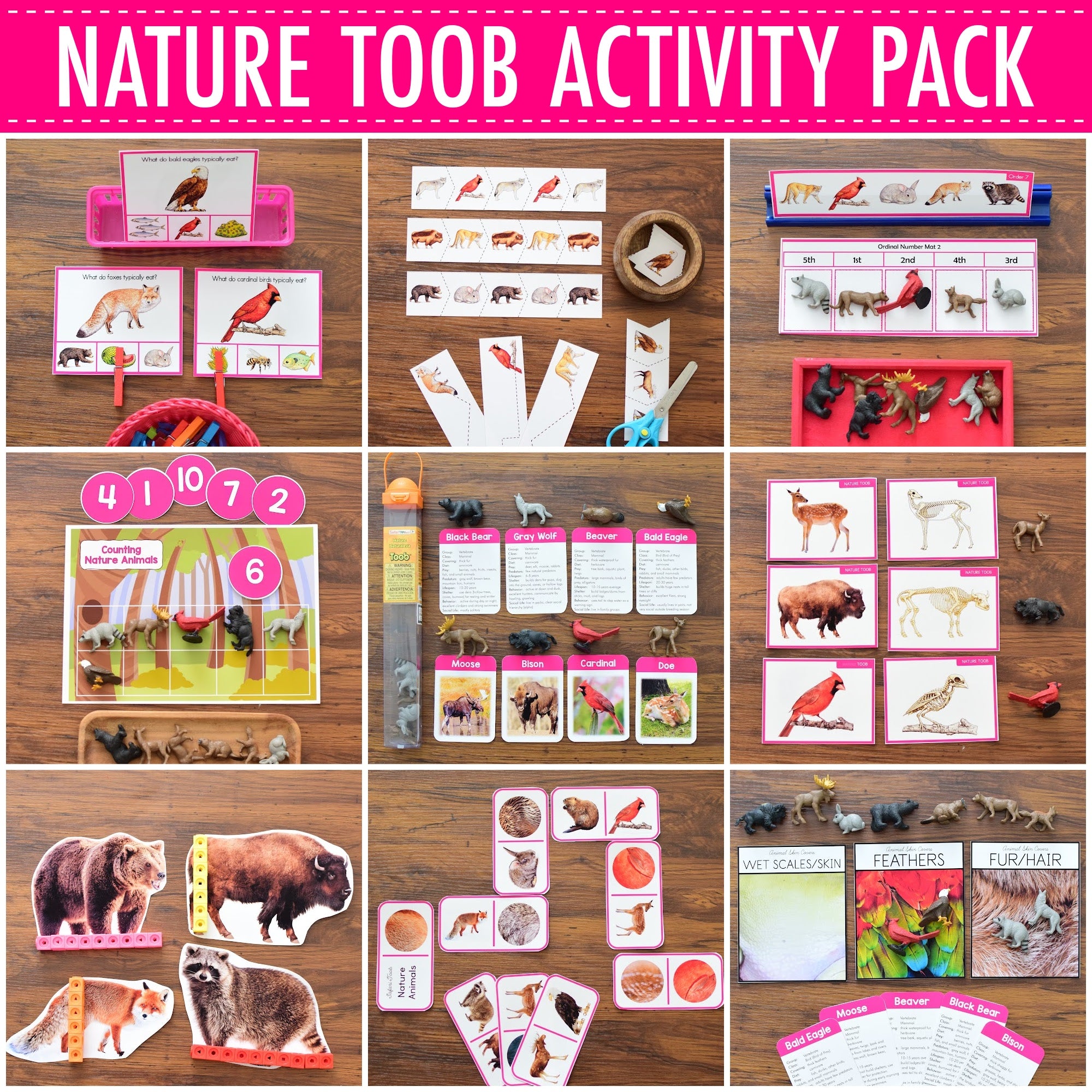 Safari Toob Nature Preschool Kindergarten Activity Pack