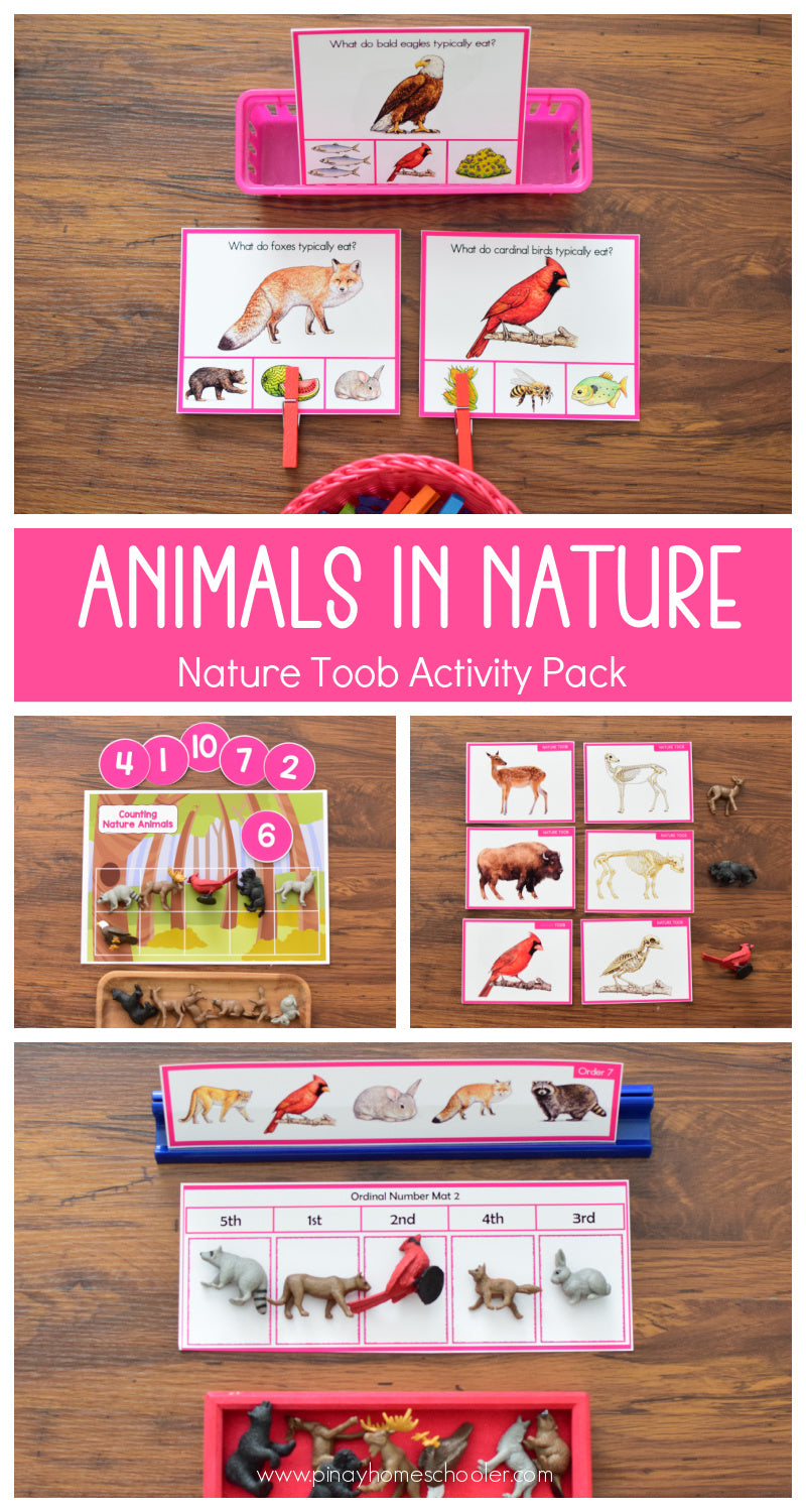 Safari Toob Nature Preschool Kindergarten Activity Pack