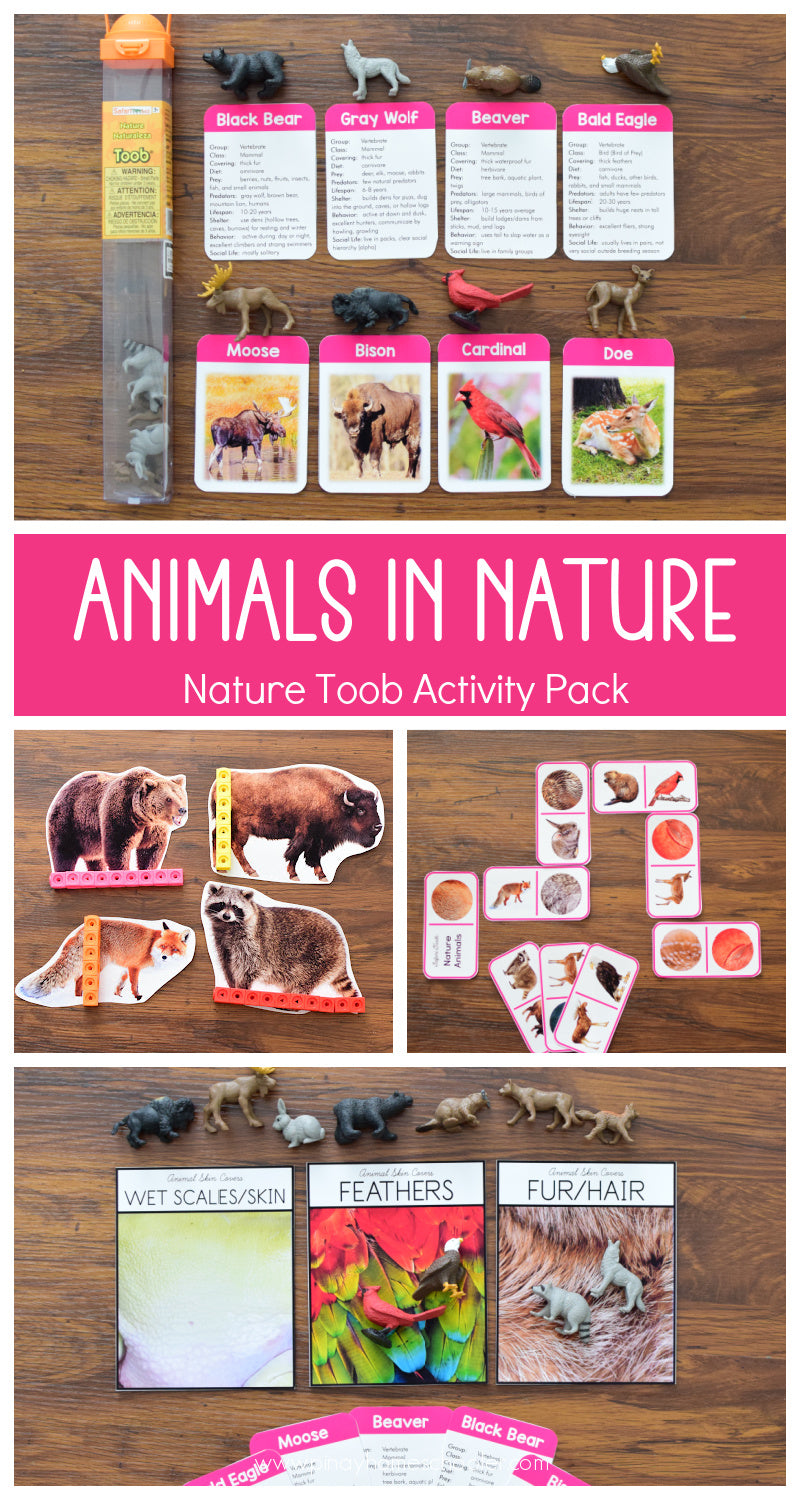 Safari Toob Nature Preschool Kindergarten Activity Pack