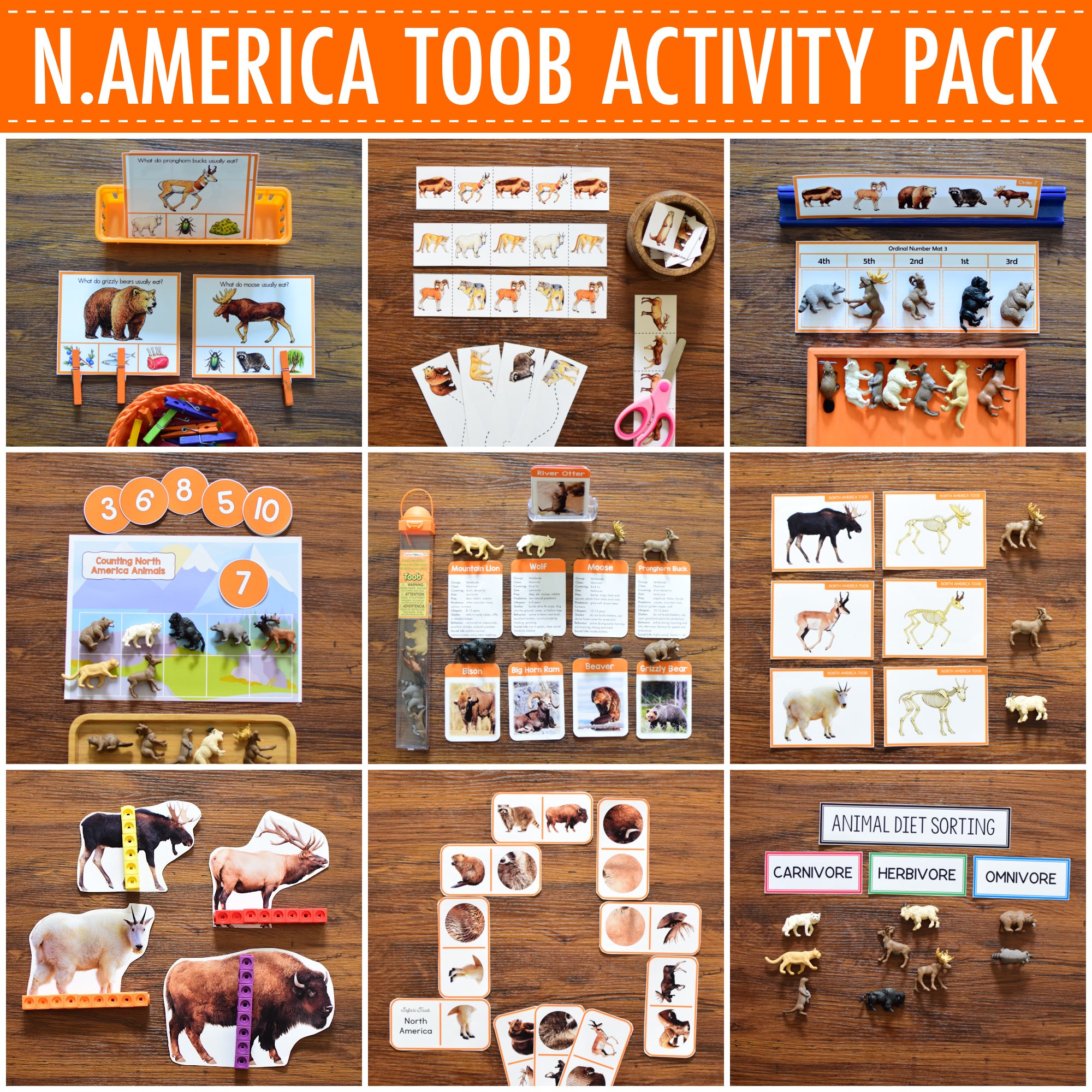 North America Toob Activity Pack - Safari Toob