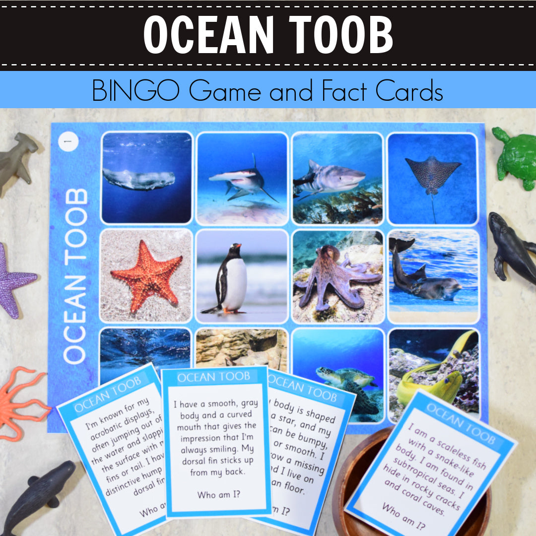 Safari Ocean Toob Bingo Game and Fact Cards