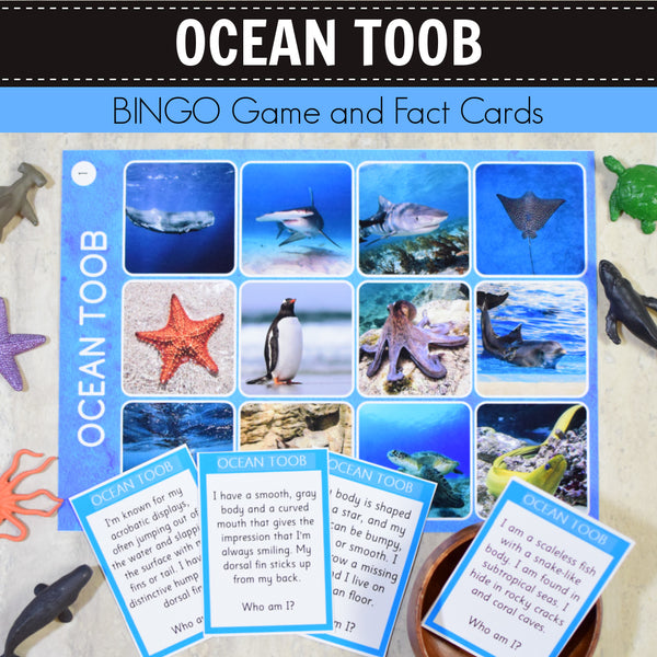 Safari Ocean Toob Bingo Game and Fact Cards
