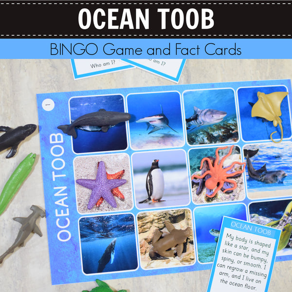 Safari Ocean Toob Bingo Game and Fact Cards