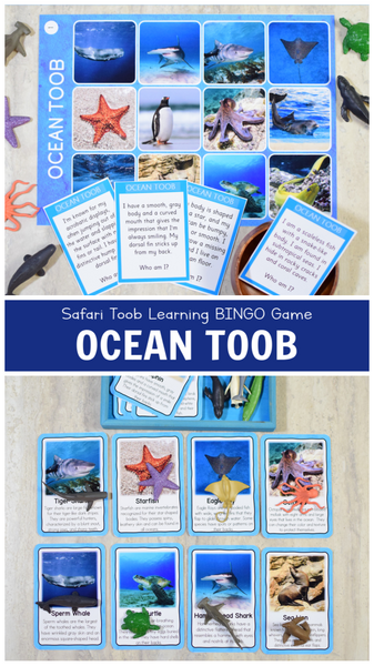 Safari Ocean Toob Bingo Game and Fact Cards