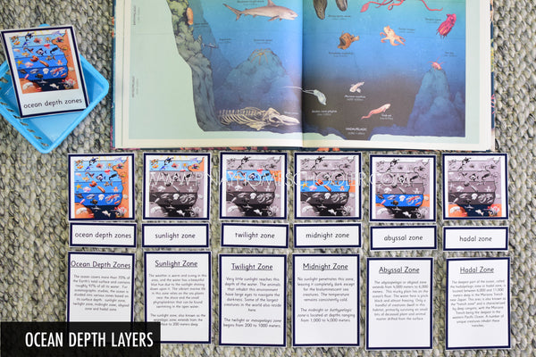 Ocean Layers Depth Zones Montessori Cards