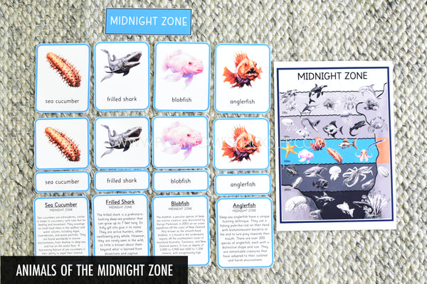 Ocean Layers Depth Zones Montessori Cards