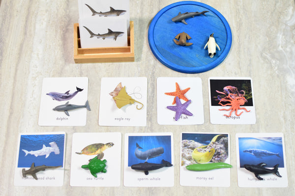 Montessori Ocean Toob 3 Part Cards [EDITABLE]