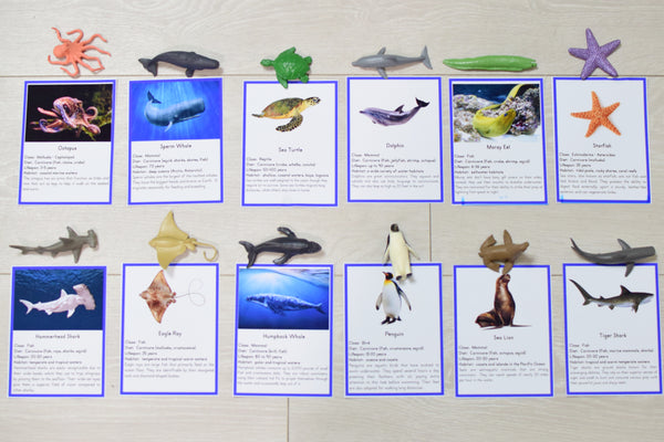 Montessori Ocean Toob 3 Part Cards [EDITABLE]