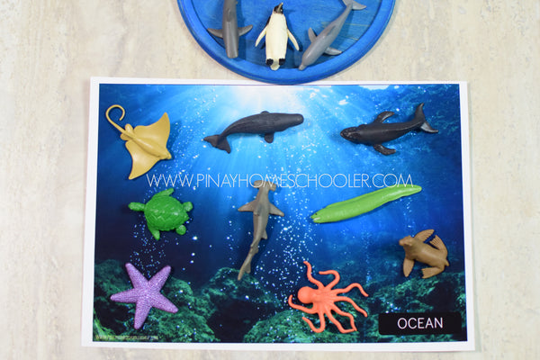 Montessori Ocean Toob 3 Part Cards [EDITABLE]