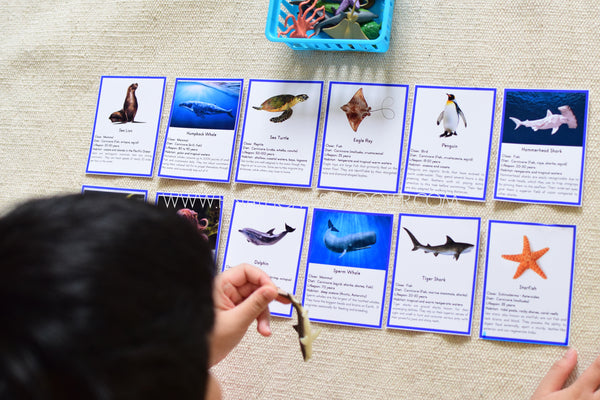 Montessori Ocean Toob 3 Part Cards [EDITABLE]