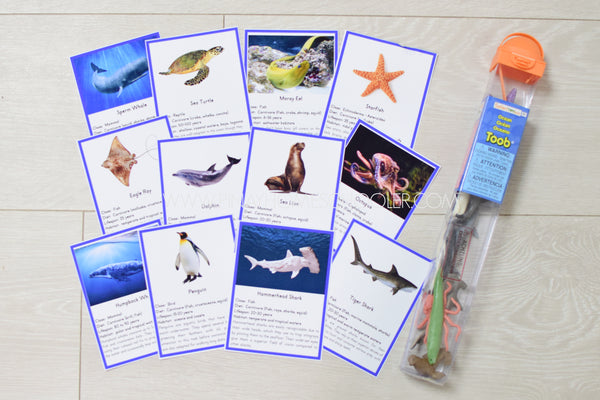 Montessori Ocean Toob 3 Part Cards [EDITABLE]