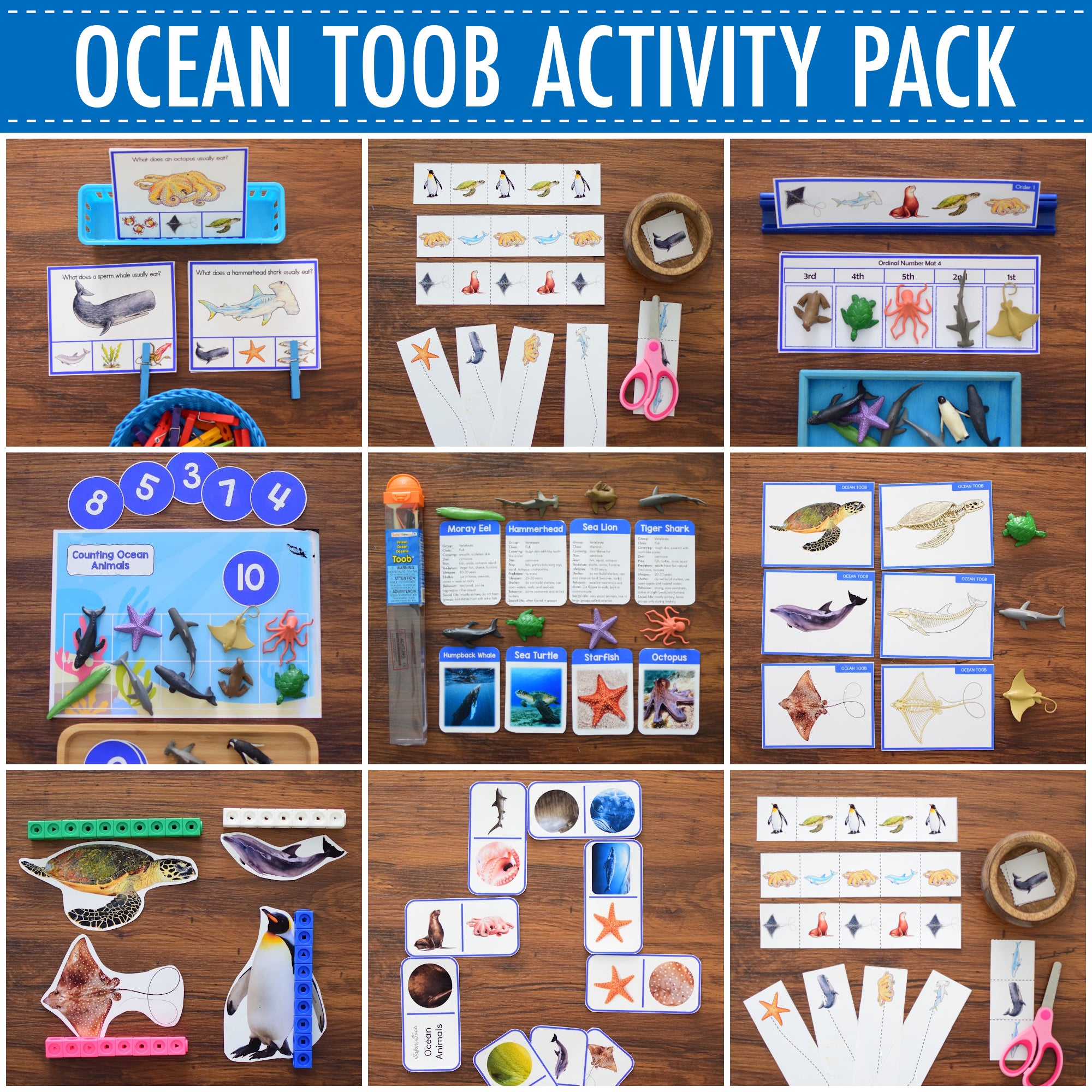 Ocean Animals Activity Pack - Safari Toob