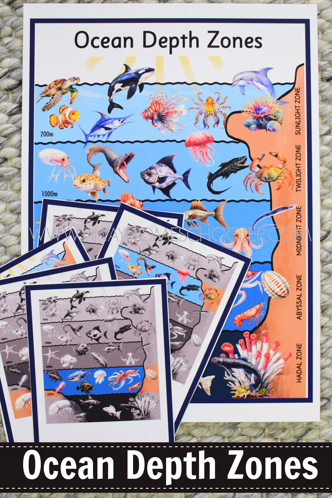Pinay Homeschooler Shop