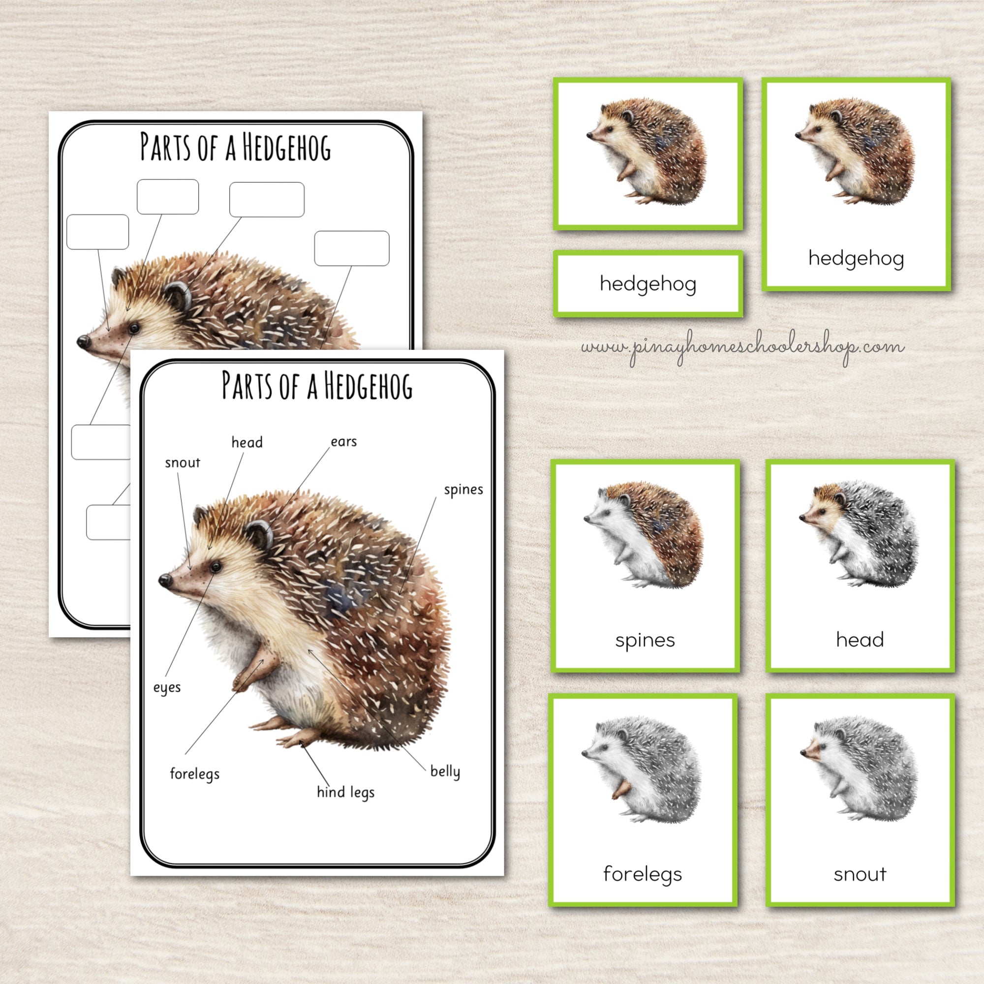 Montessori Parts of a Hedgehog 3 Learning Pack