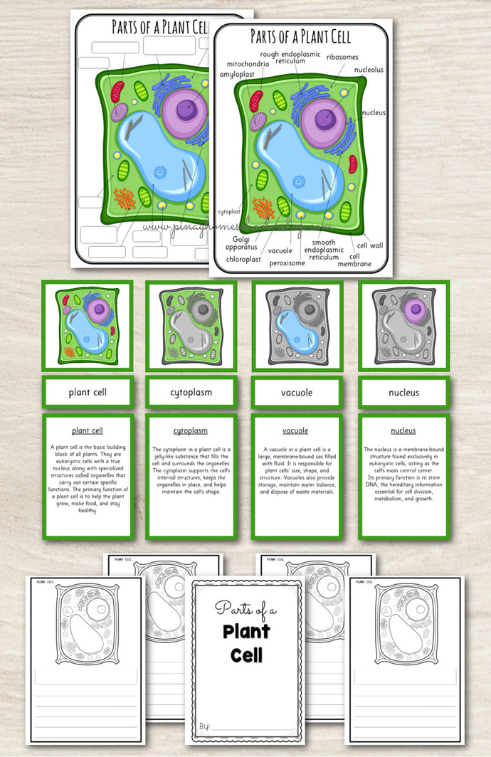 Parts of a Plant Cell Montessori 3 Part Cards | 4 Part Cards – Pinay ...