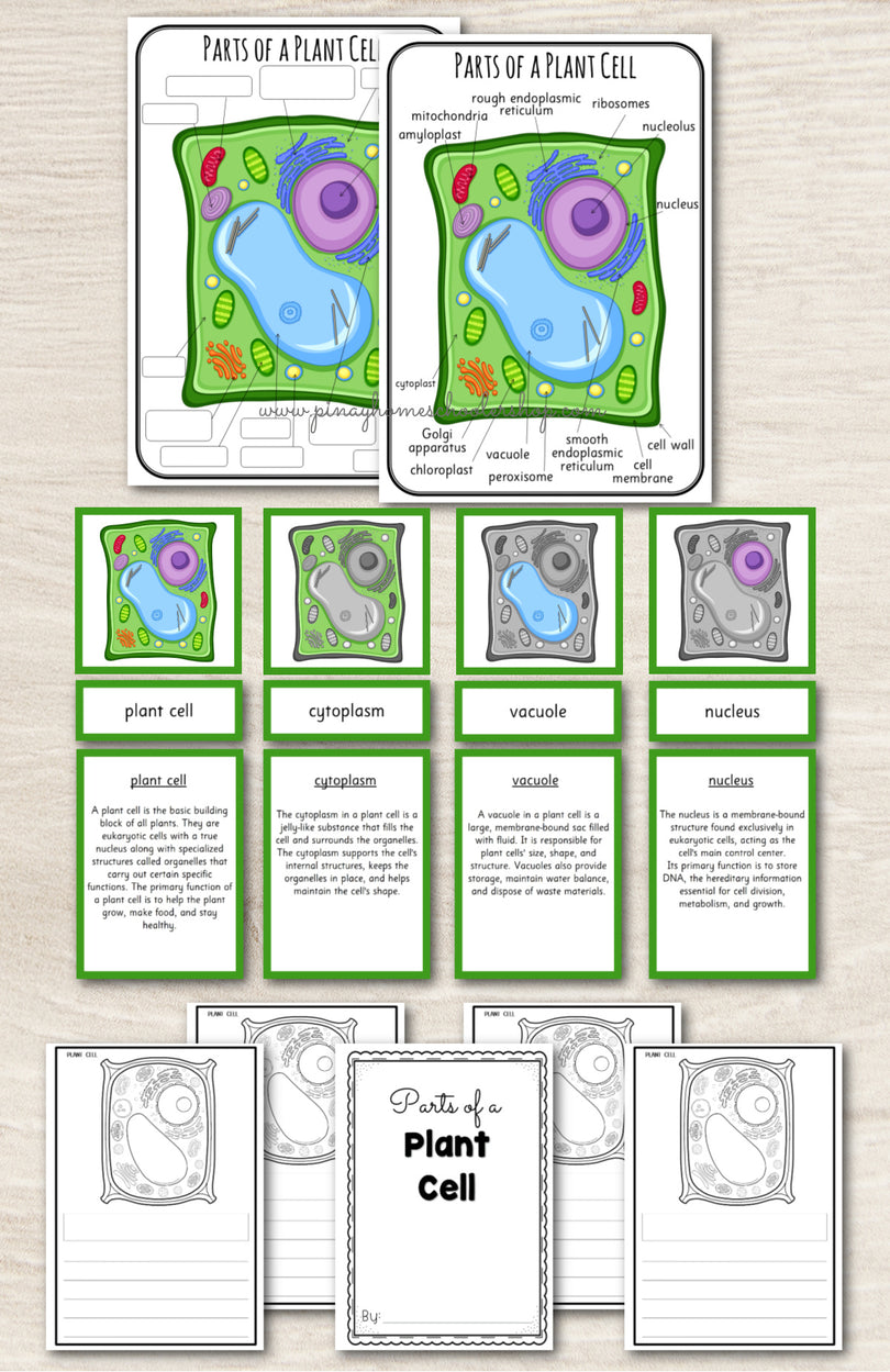 Parts of a Plant Cell Montessori 3 Part Cards | 4 Part Cards – Pinay ...