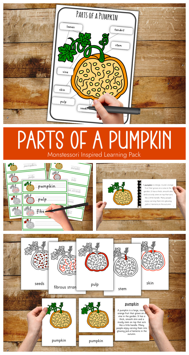 Parts of a Pumpkin - Montessori Inspired