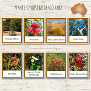 Plants of Australasia Oceania Montessori 3 Part Cards