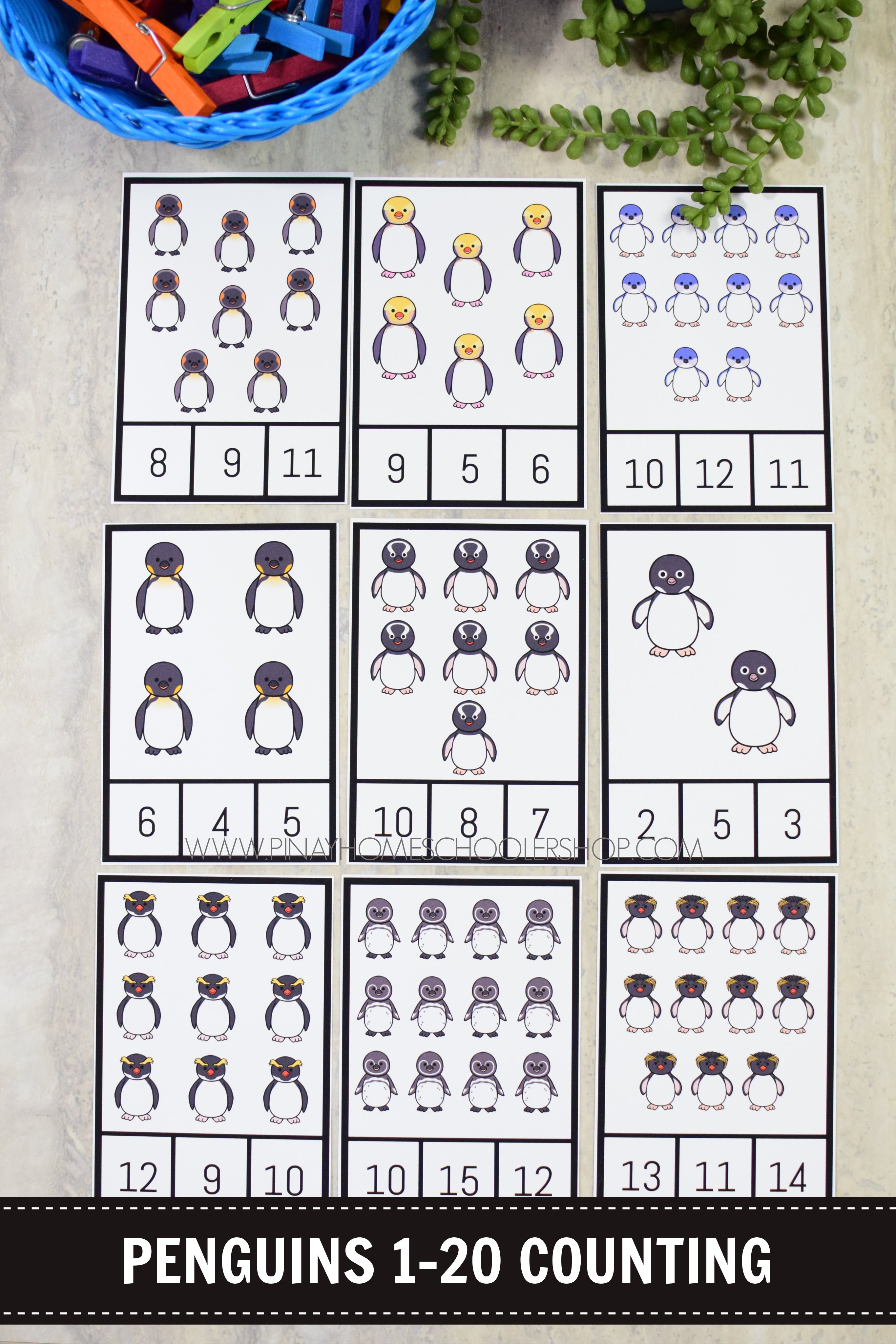 Penguins Preschool Math and Literacy Mini Unit