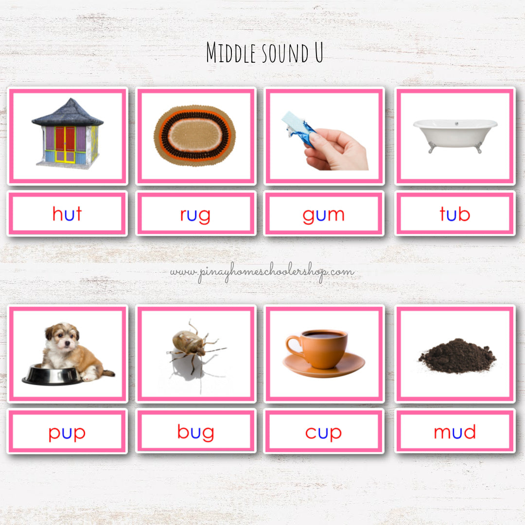 CVC Words Montessori Pink Series 3 Part Cards - Vowel U