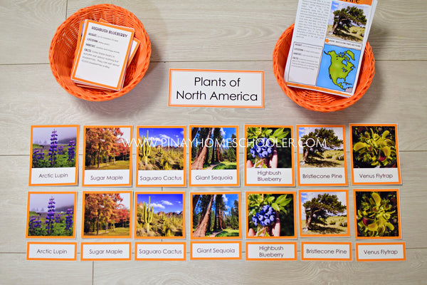 Plants of North America Montessori 3 Part Cards
