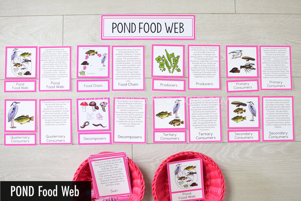 Pond Biome Food Web and Food Chains Learning Pack