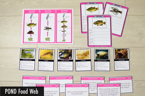 Pond Biome Food Web and Food Chains Learning Pack