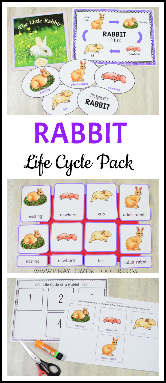 Growing BUNDLE of Life Cycle Activity Sets