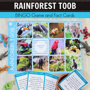 Safari Rainforest Toob Bingo Game and Fact Cards