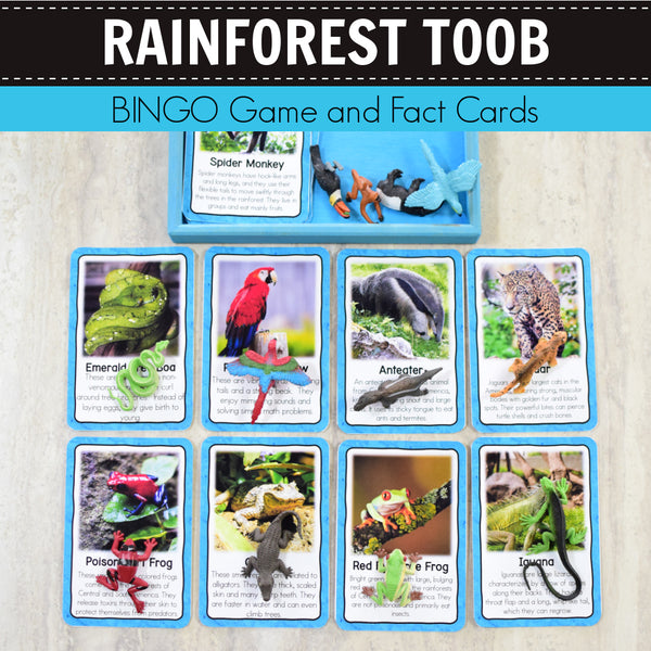 Safari Rainforest Toob Bingo Game and Fact Cards