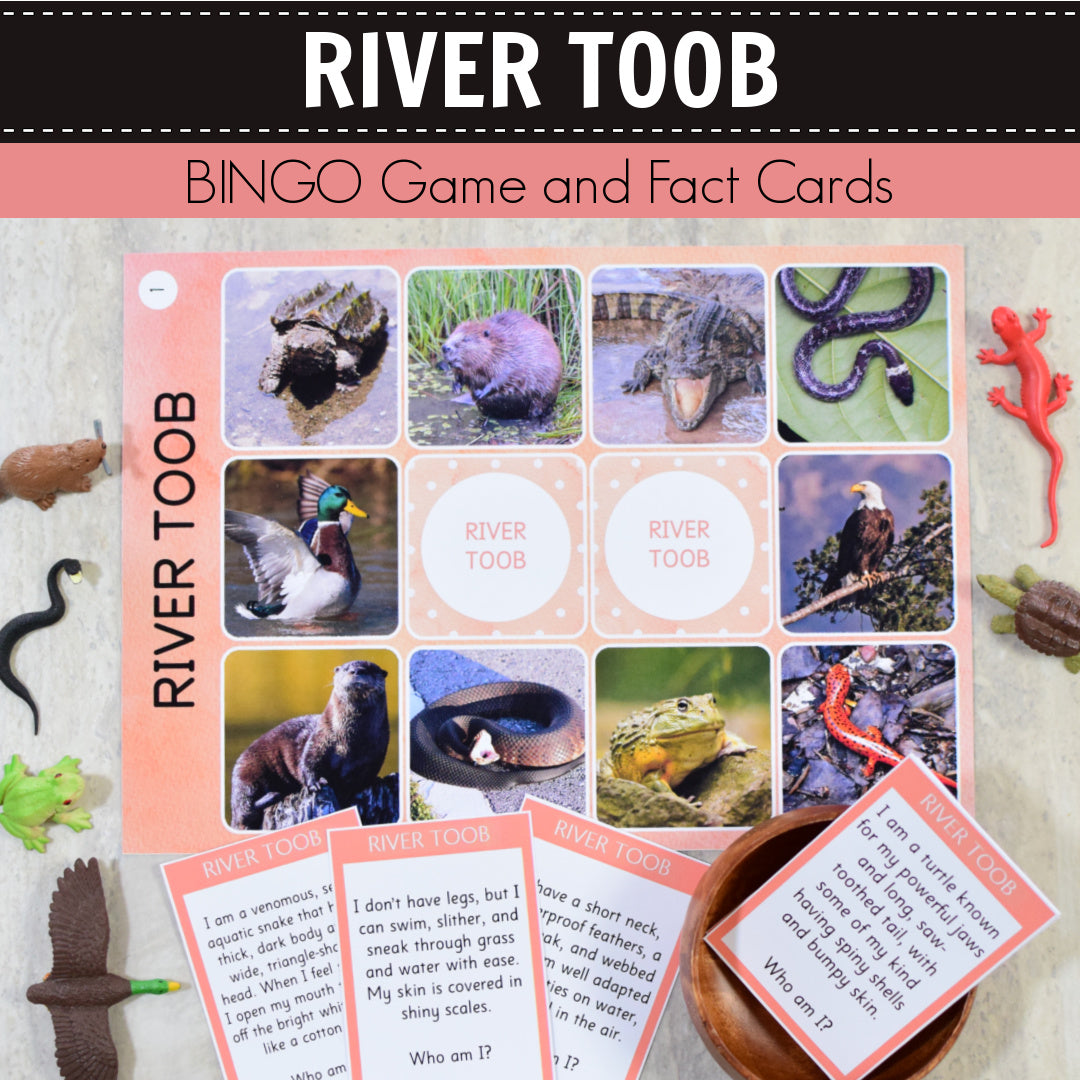 Safari River Toob Bingo Game and Fact Cards