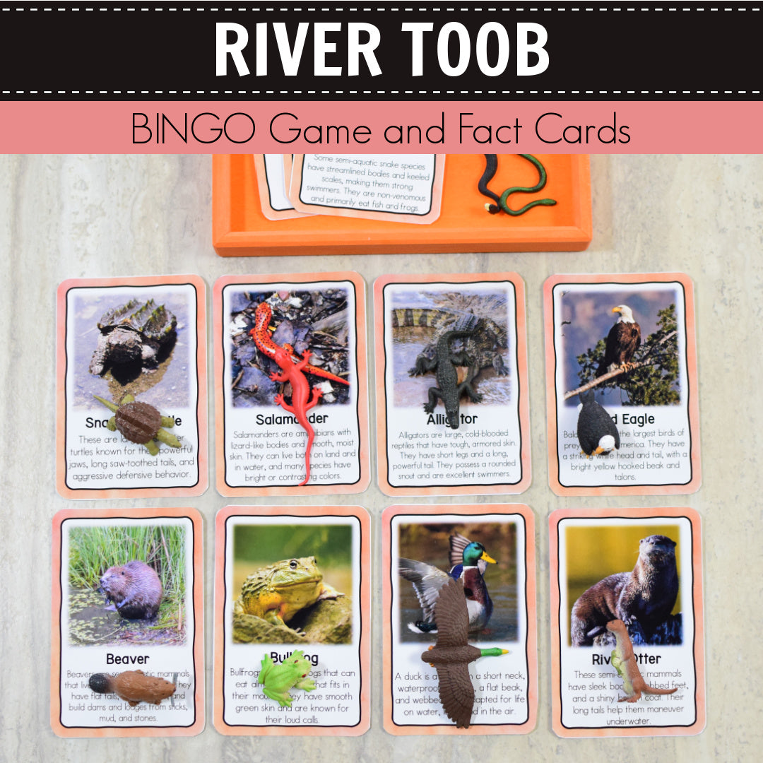 Safari River Toob Bingo Game and Fact Cards