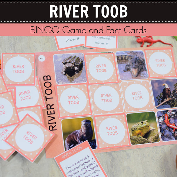 Safari River Toob Bingo Game and Fact Cards