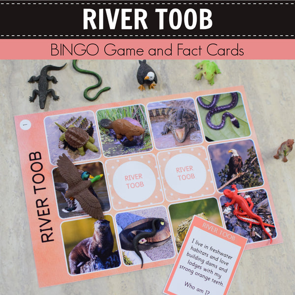 Safari River Toob Bingo Game and Fact Cards