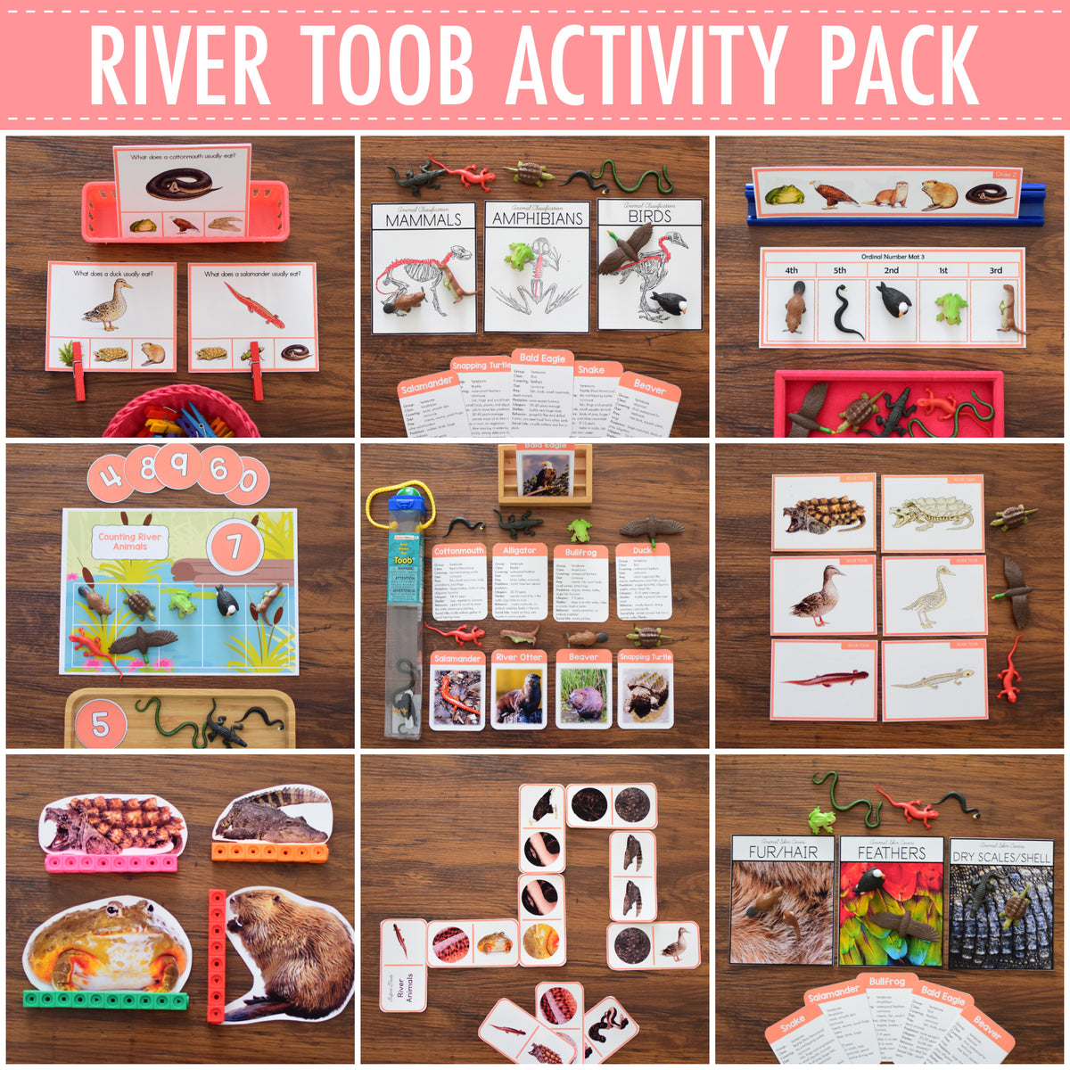 River Animals Activity Pack - Safari Toob – Pinay Homeschooler Shop
