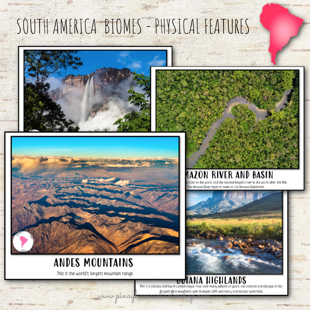 South America Biomes and Physical Features - Montessori Inspired