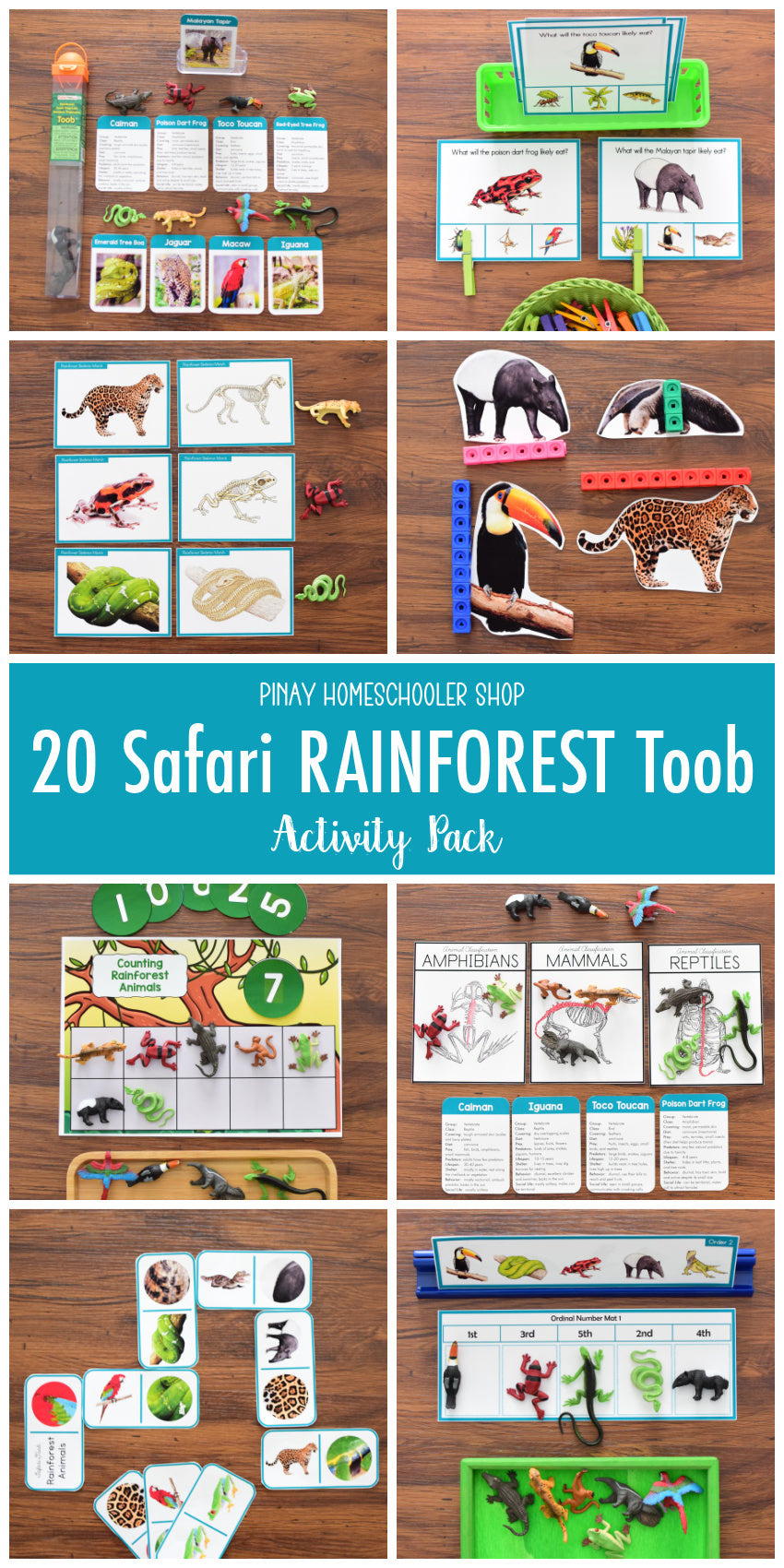 Rainforest Animals Activity Pack - Safari Toob Desert