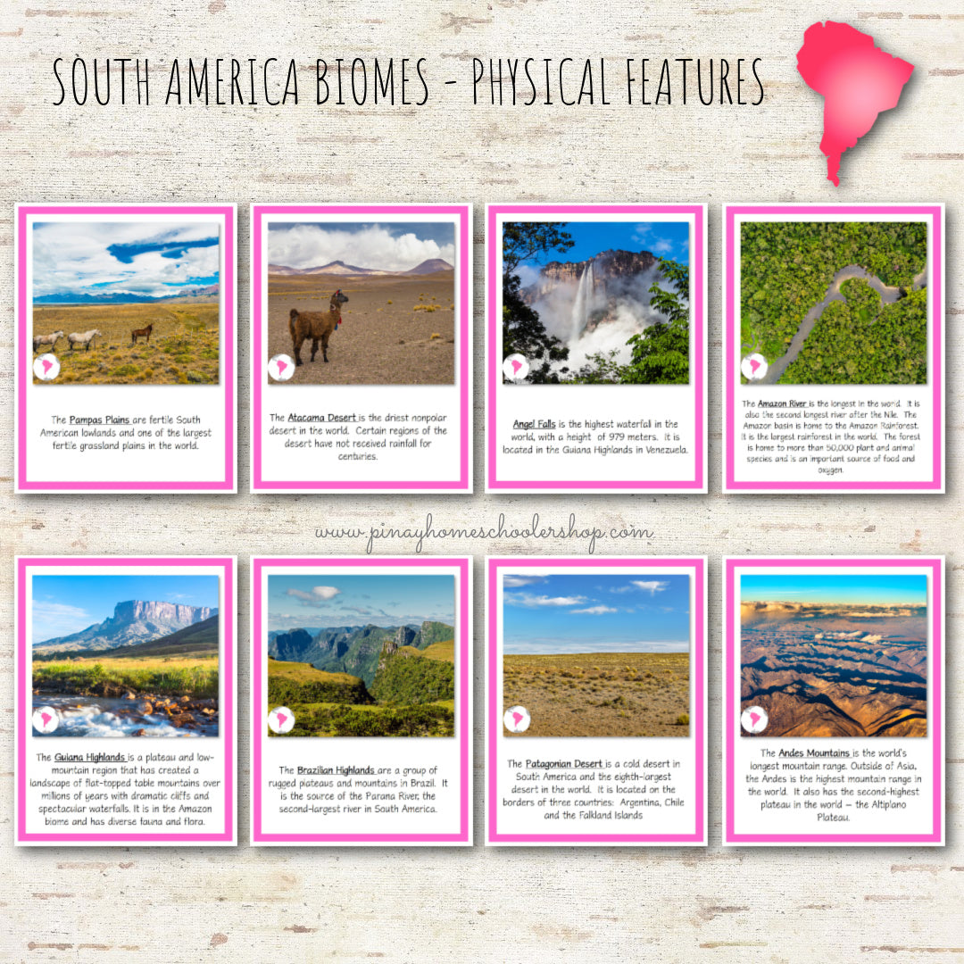 South America Biomes and Physical Features - Montessori Inspired