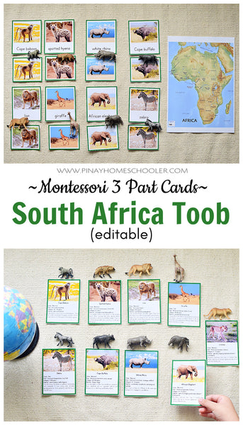 Montessori South Africa Toob 3 Part Cards [EDITABLE]