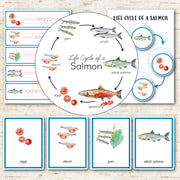 Salmon Life Cycle Activity Set
