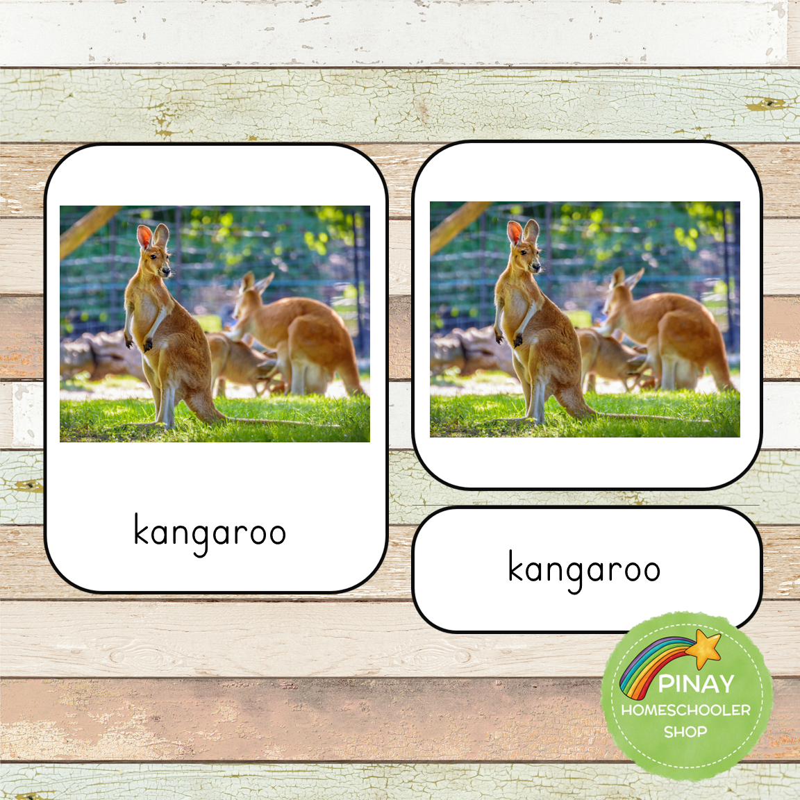 Montessori Australian Continent Animals Toob 3 Part Cards