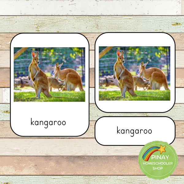 Montessori Australian Continent Animals Toob 3 Part Cards