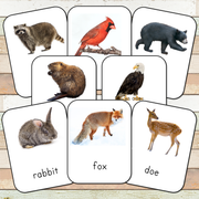 Montessori Nature Toobs 3 Part Cards [EDITABLE]