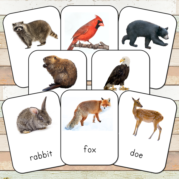 Montessori Nature Toobs 3 Part Cards [EDITABLE]