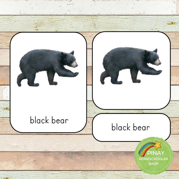 Montessori Nature Toobs 3 Part Cards [EDITABLE]