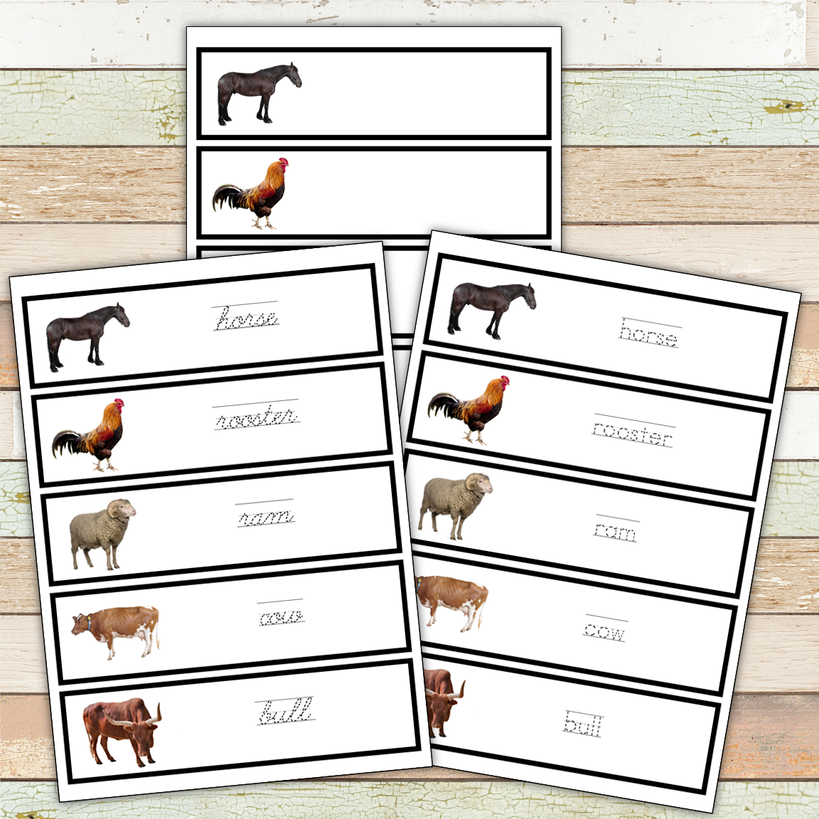 Montessori Farm Toob 3 Part Cards