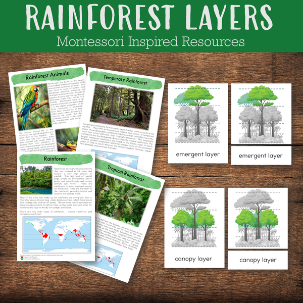 Layers of Rainforest Montessori Inspired Materials