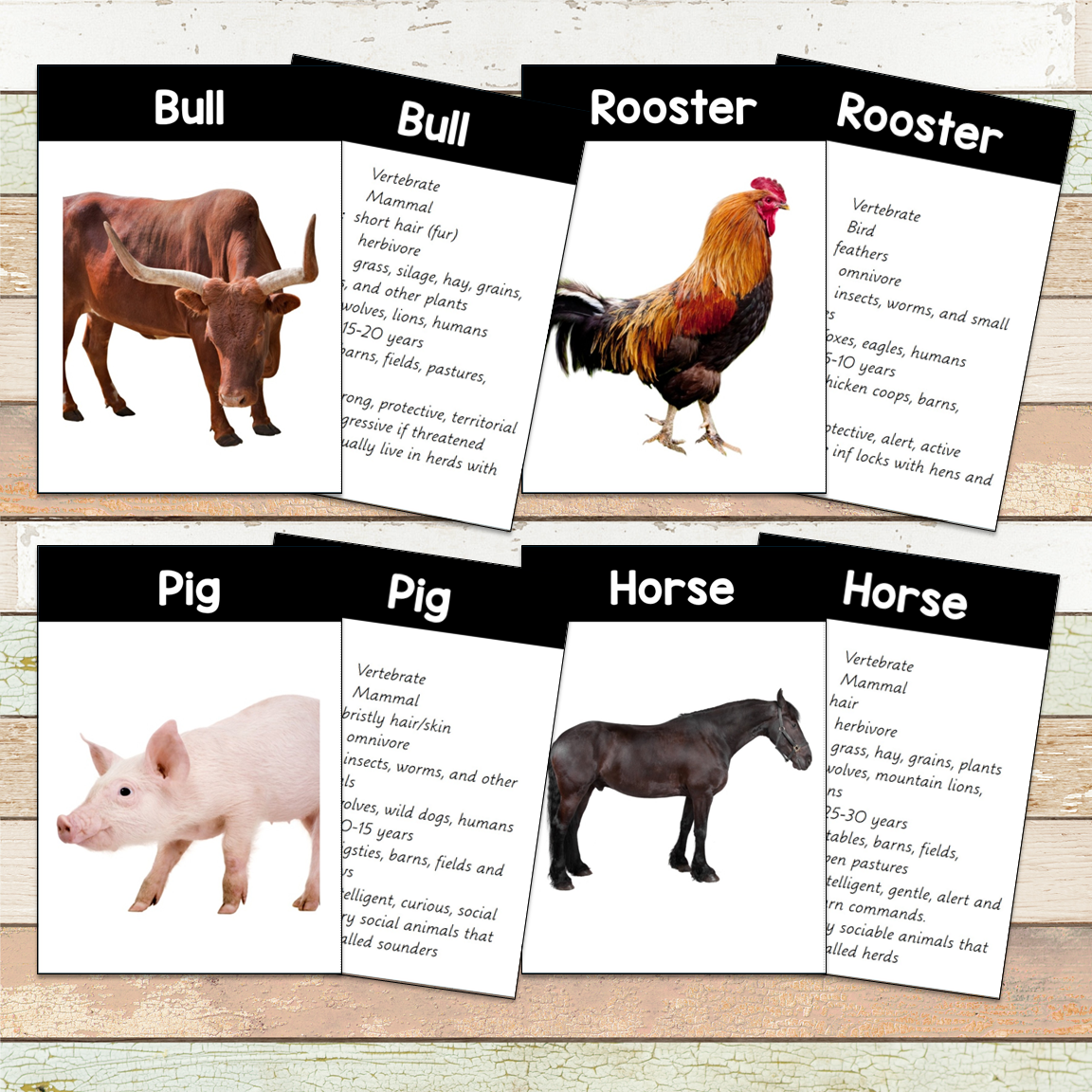 Montessori Farm Toob 3 Part Cards