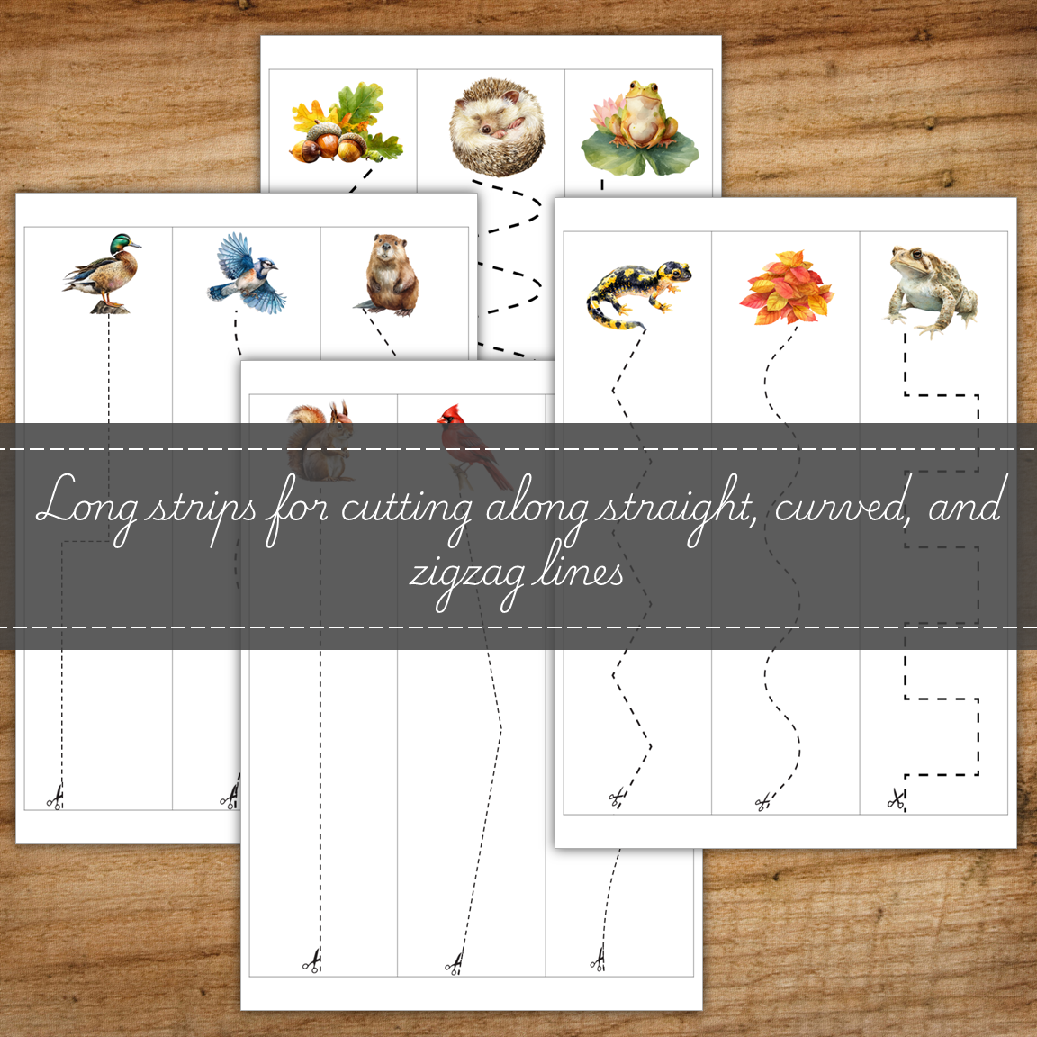 Woodlands Autumn Scissor Skills Cutting Strips