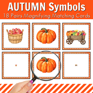 Autumn Fall Magnifying Matching Activity Cards